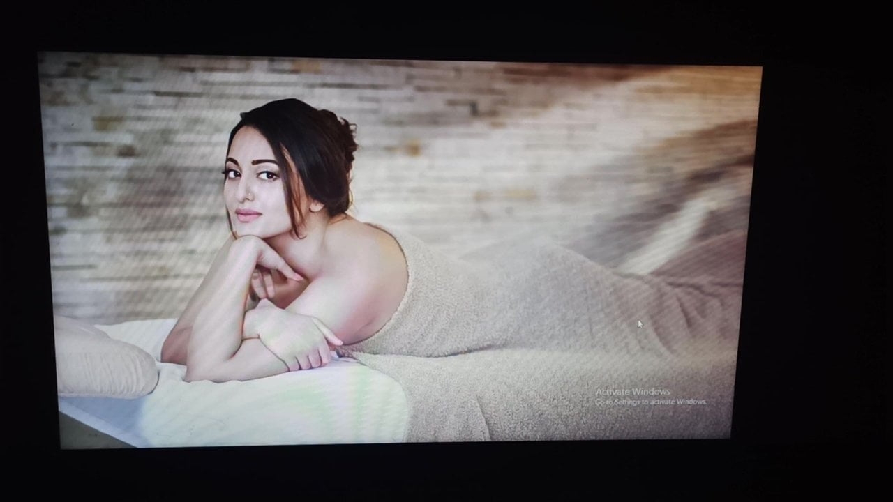 Sonakshi Sinha cum tribute