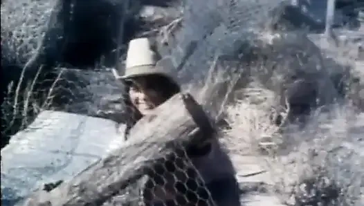 Classic Porn Dvds: Weekend Cowgirl: Part 1