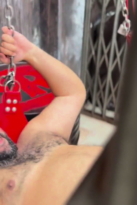 Шаловливые медведи в Прямой кишке