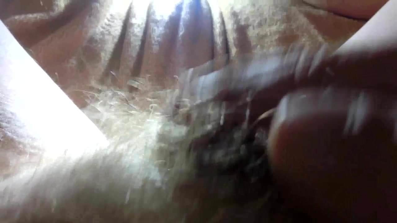 Working That Small Penis
