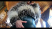 Pregled videozapisa