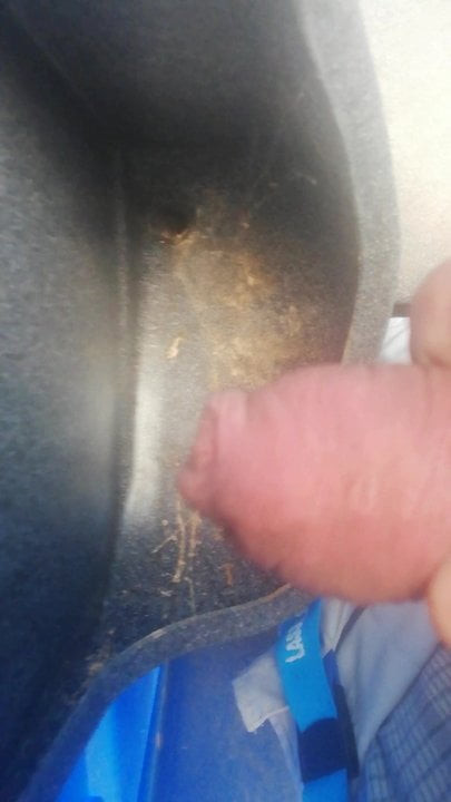 Piss