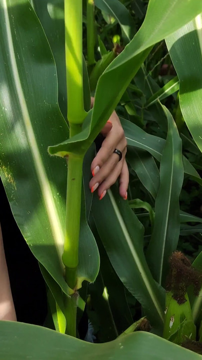 Risky outdoor blowjob from girl with natural tits. Almost caught. | Clip 1