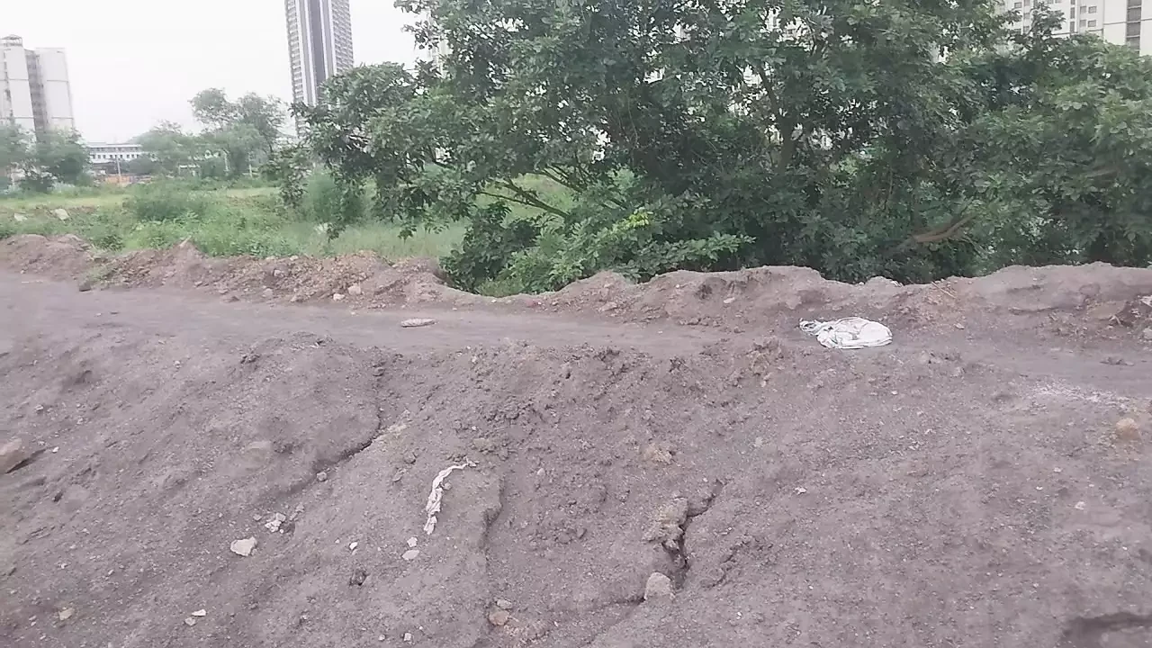 Jungle evening Akele Dekh Ke man Kar Gaya sex ka