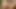 Cewek sange ini lagi asik muasin memek beceknya pakai dildo sampai orgasme