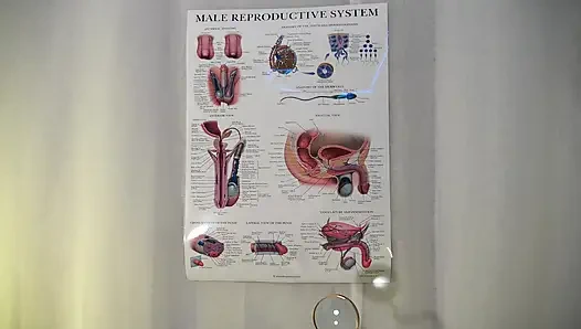 Penis problemleri kliniği - azgın kadın egemenliği aşağılama tıbbi komedi