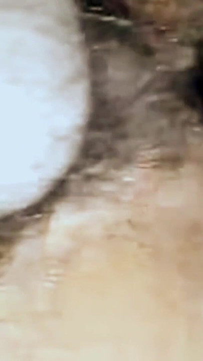 Η Ντάμπι γαμιέται άγρια | Κλιπ 2