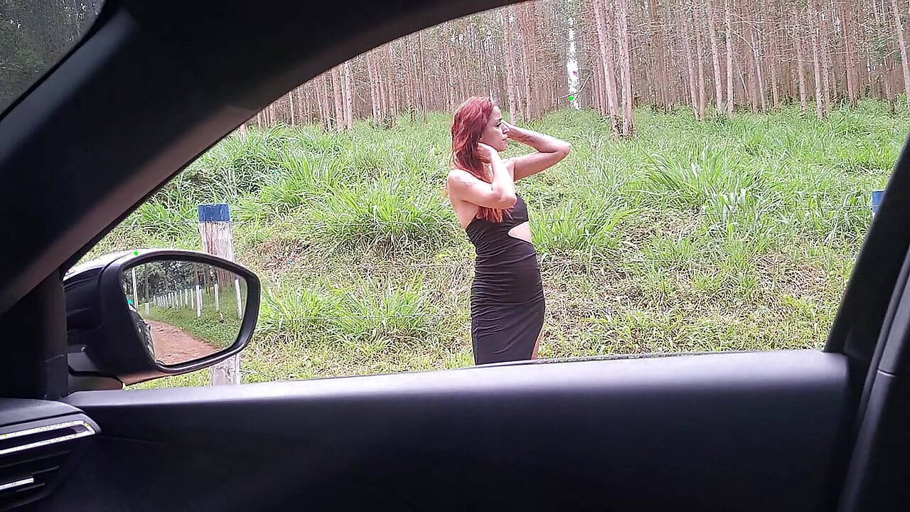 Flash Cock to a Girl in the Car!