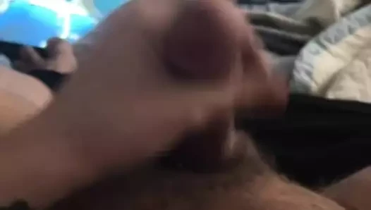 My good boy is playing for his mistress