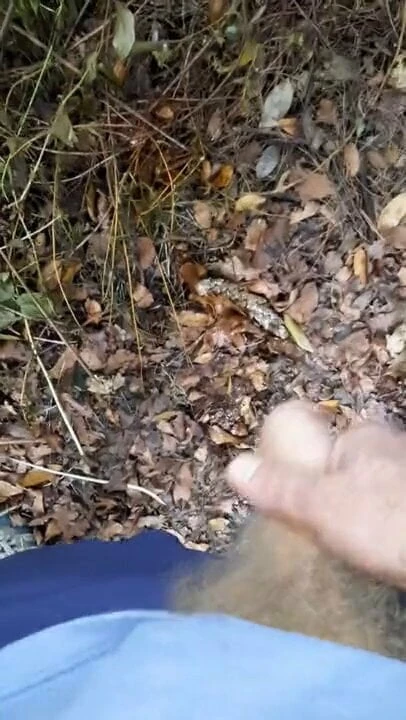 My 2nd morning piss of the day.