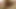 脈打つペニスで広がる濡れた秘部