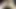 Jerking my very hairy uncut dick for the first time in a few days with lots of precum and a messy cumshot