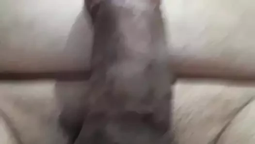 Pouli Meta Apo Peritomi