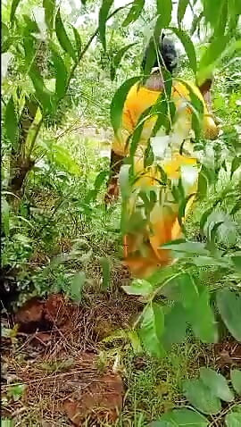 My wife fucking in forest