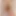 Lady Mesmeratrix - iç çamaşırlı ve file çoraplı edepsiz İtalyan