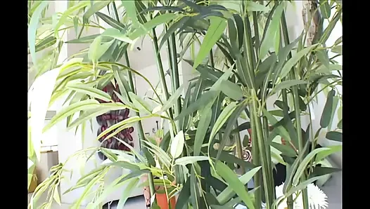 Queen Pussy Devotion Hard Session