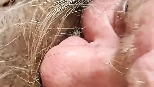 10 menit wajahku dicrot sperma dalam 8 menit