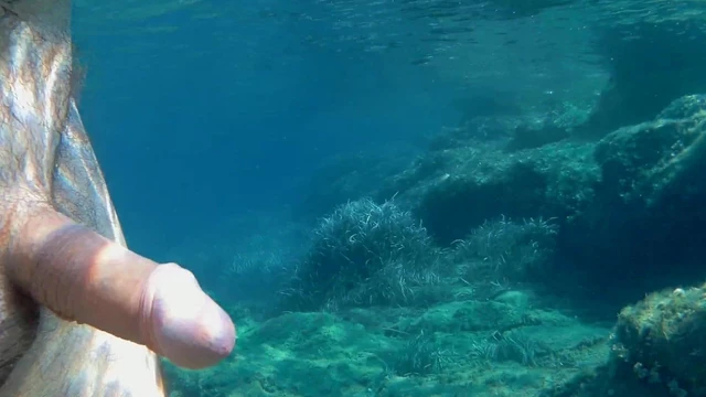 penis