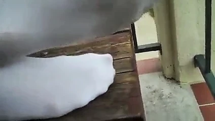 Garoto curtindo as suas meias brancas e seu tenis Adidas