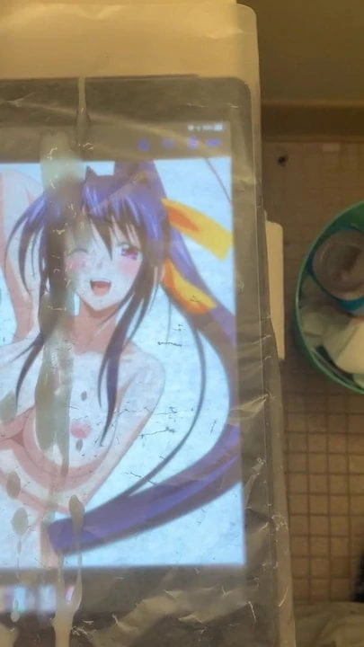 Akeno Himejima Tribute Requested by animeaddiction