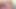 Futanari Cumshot #1