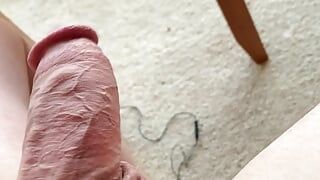Quality penis specimen, getting it ready for the next willing participant