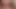 Harmony's Anal View