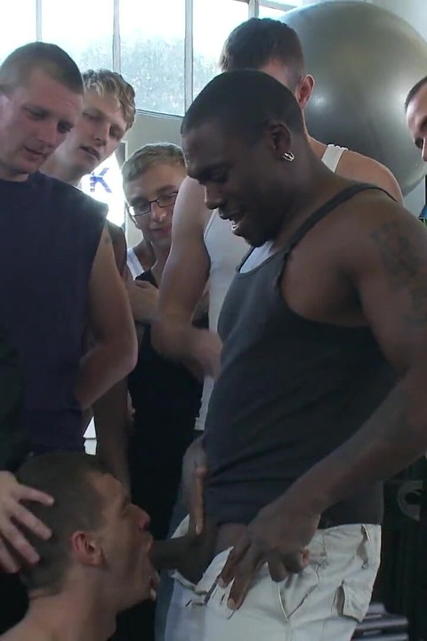 Gym Rat and the Gay Mafia