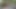 小柄だが、目立つ曲線美がある