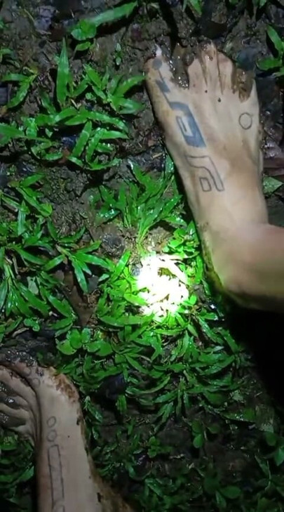 Andando descalça na natureza à noite