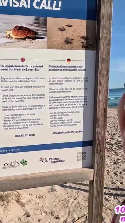 Jaw-dropping moment from "German teen fucked in the ass on Mallorca beach"