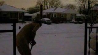 Nude snow shoveling