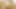 Tatlı latin göt mc169
