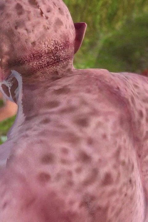 Oger und der Eselwald