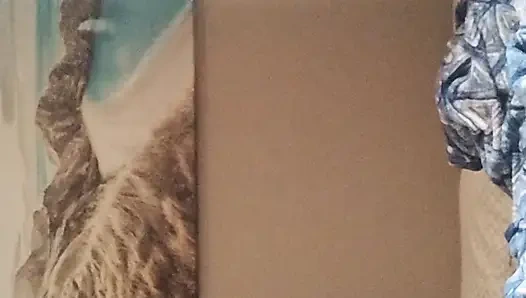 Mein Schlafzimmer ist kein BNB, aber Sie wissen, dass ich ein guter Gastgeber bin, wenn ich Gäste habe, wenn ich Leute eingeladen habe und einen guten heißen ehemann