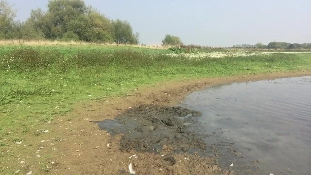 Jons naked mud fun 2016