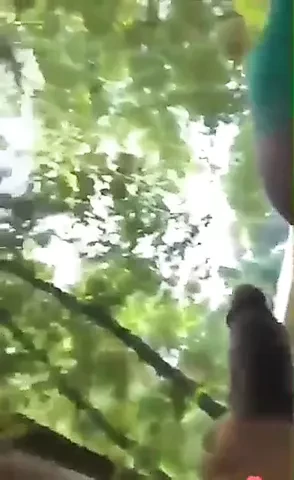 Suck.my dick