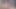 MassSchlong Giant Cock Cumpilation