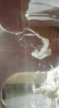 Sperma ins Wasser gespritzt