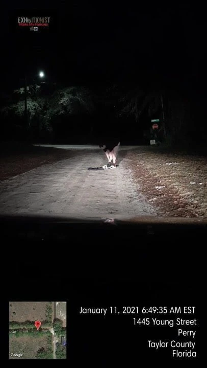Strip in middle of rd