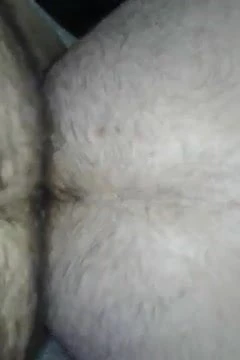 bear bare bear