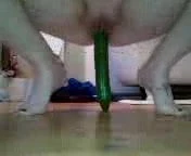 Bounce