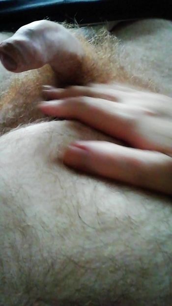 Hairy Daddy Bear With Ginger Pubes Wank