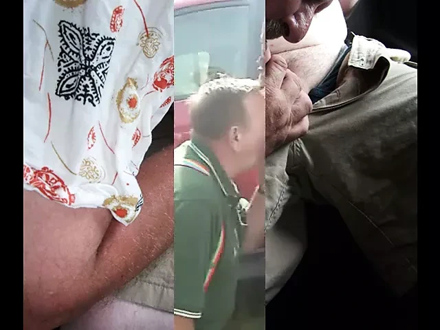 Stonewall96 sexy mustache grandpa sucks cock at the park