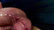 Pratinjau video