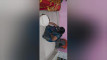 Pratinjau video