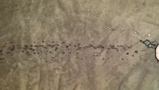 cehennem gibi azgın
