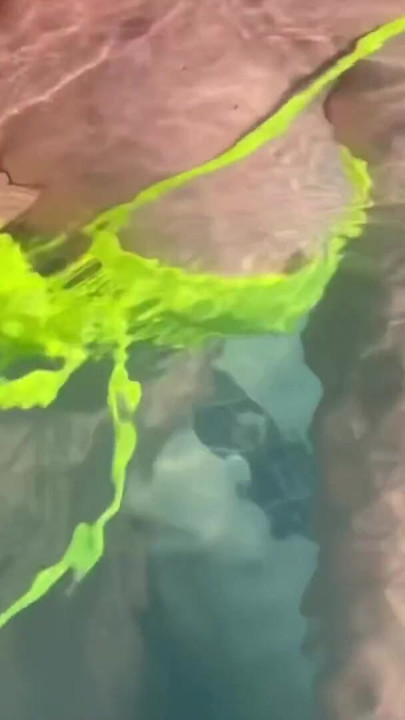 Artemisia Love flashing her juicy big tits underwater Public pool fetish FULL OF | Clip 1