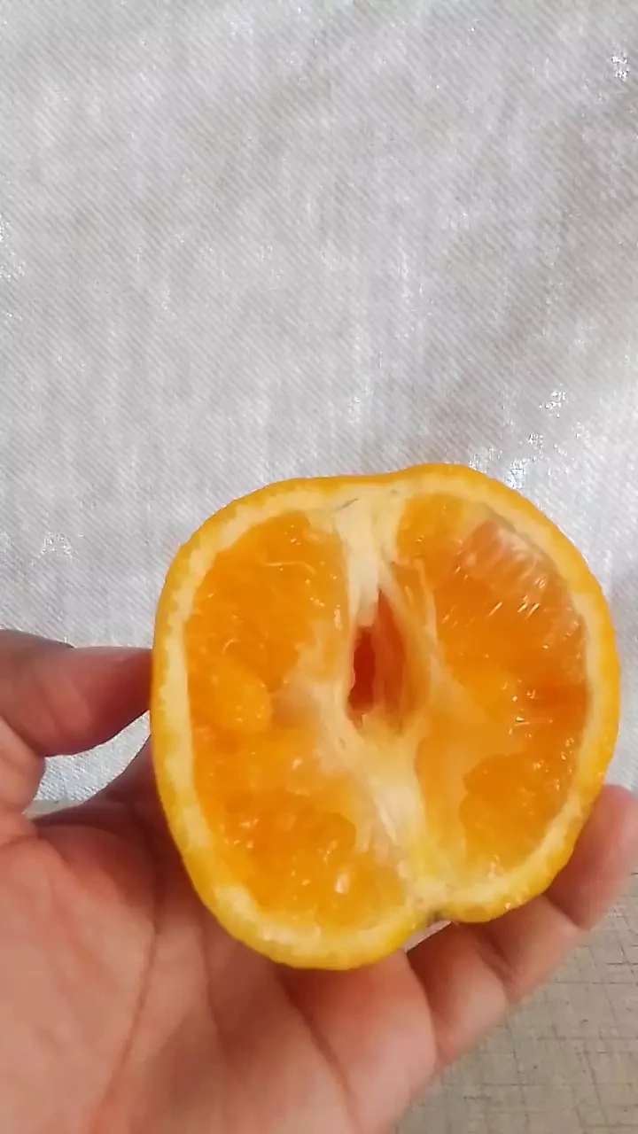 Oranje om je te laten klaarkomen