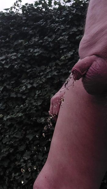 Another small uncut penis piss in the garden